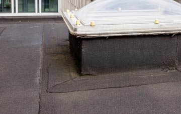 disadvantages of The Hallands flat roofs