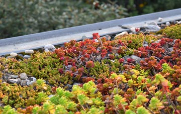 the cost of The Hallands green roof installation