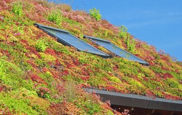 The Hallands living roof systems