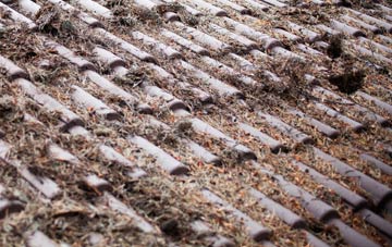 The Hallands roof cleaning companies