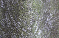 The Hallands fibreglass roof work